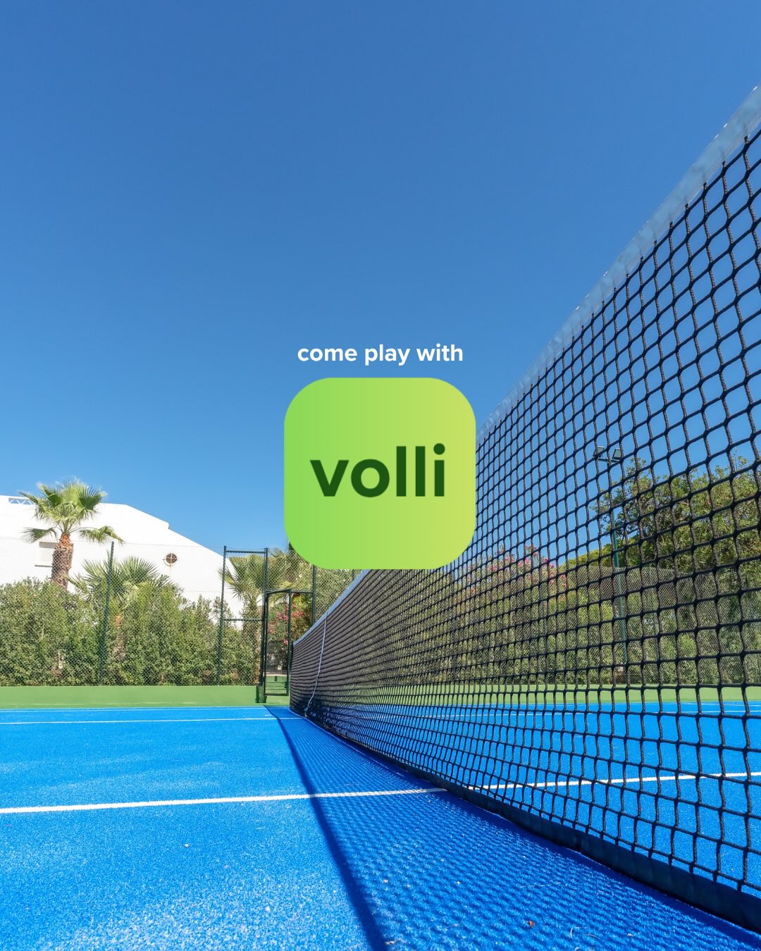 About Volli — image 1 of 6