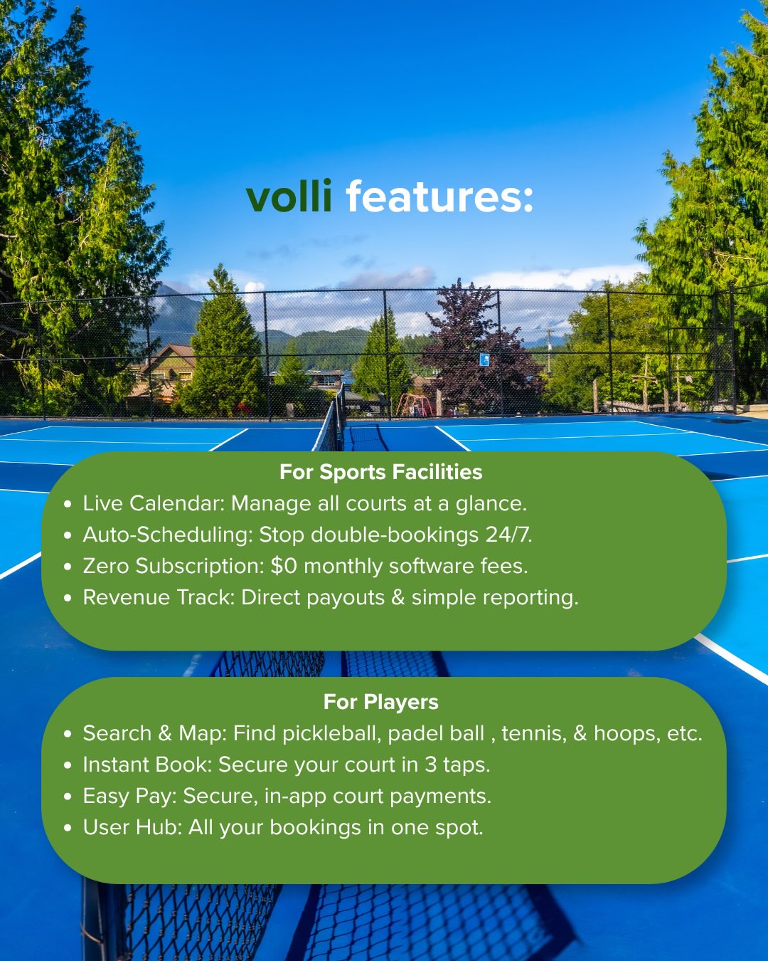 About Volli — image 5 of 6